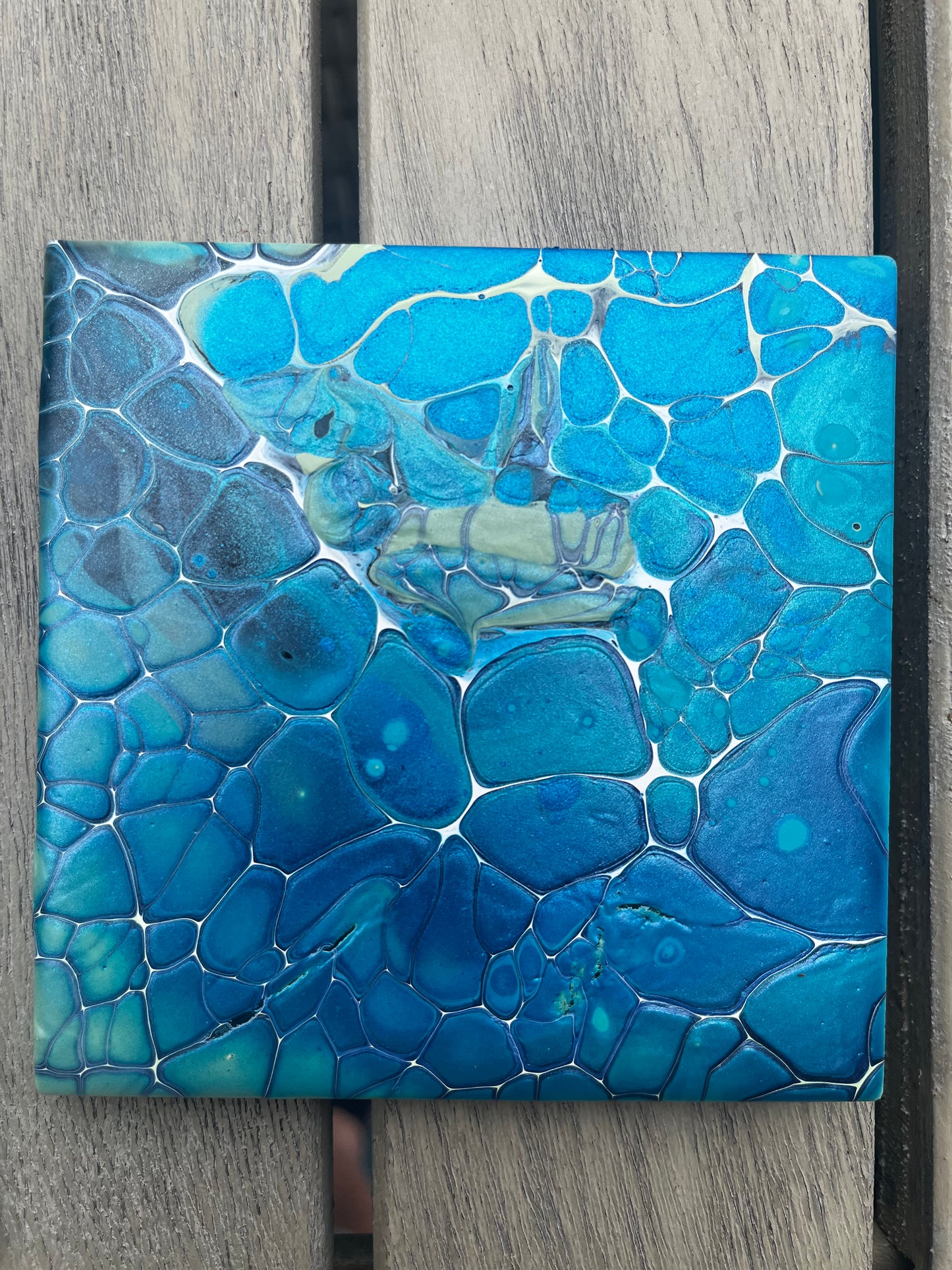 Coastal Coaster set of 4